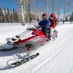 Mikesell Snowmobile Insurance Menomonie WI